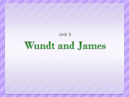 Unit 3. Wilhelm Wundt When Wilhelm Wundt was around 29, he began his investigations into what could be labeled psychology. He was interested in the “personal.