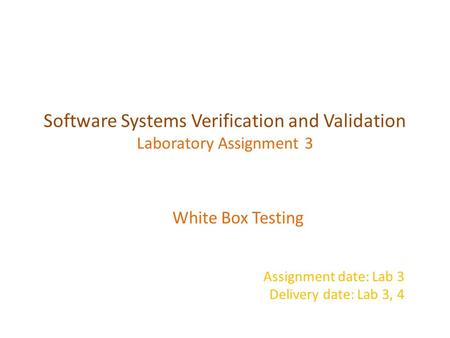 Software Systems Verification and Validation Laboratory Assignment 3