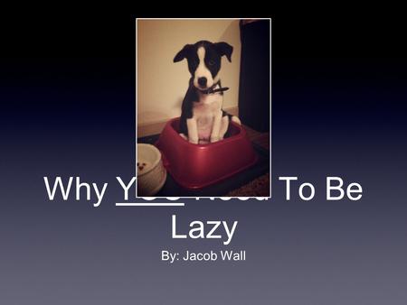 Why YOU Need To Be Lazy By: Jacob Wall. Background Coded an open source game which grew to 40,000 active players per day with over 1,000 concurrently.