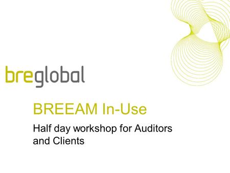 Half day workshop for Auditors and Clients