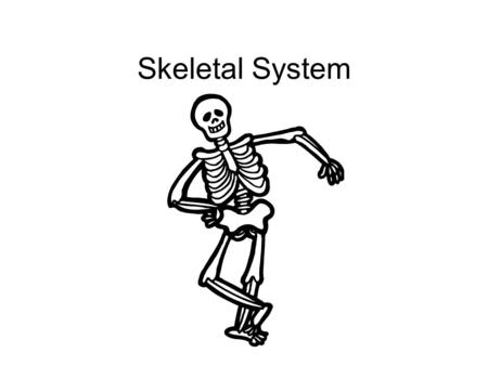 Skeletal System Anatomical Postion Body Planes and Directions.