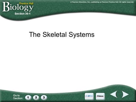 Section 36-1 The Skeletal Systems.