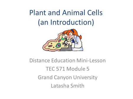Plant and Animal Cells (an Introduction)