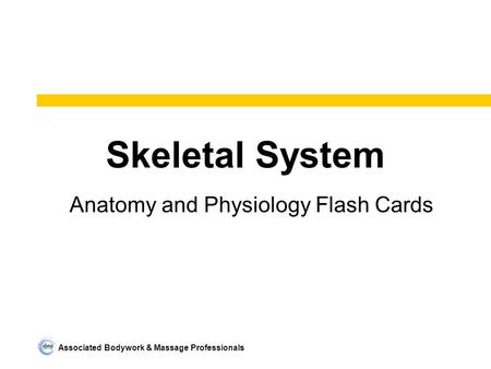 Associated Bodywork & Massage Professionals Skeletal System Anatomy and Physiology Flash Cards.