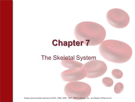 Mosby items and derived items © 2010, 2006, 2002, 1997, 1992 by Mosby, Inc., an affiliate of Elsevier Inc. Chapter 7 The Skeletal System.