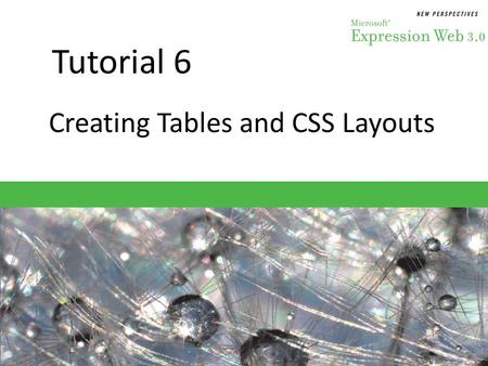Tutorial 6 Creating Tables and CSS Layouts. Objectives Session 6.1 – Create a data table to display and organize data – Modify table properties and layout.