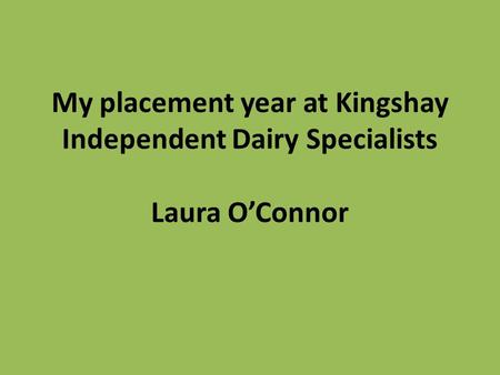 My placement year at Kingshay Independent Dairy Specialists Laura O’Connor.