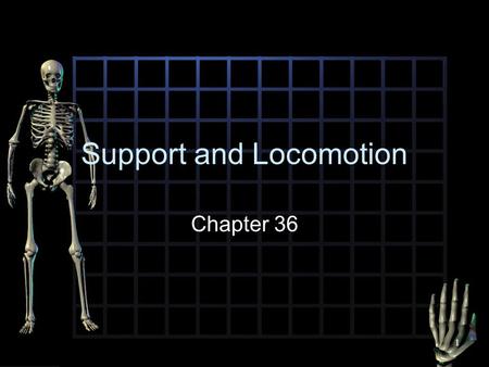 Support and Locomotion Chapter 36 1. Skin The body’s protection 2.
