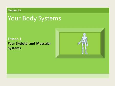 Your Body Systems Lesson 1 Your Skeletal and Muscular Systems
