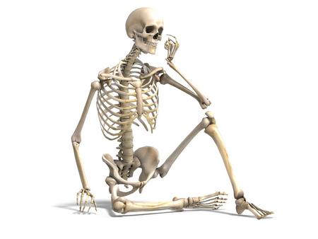The Skeletal System: An organ system composed primarily of a variety of connective tissues. Bone makes up most of the skeleton system, but also includes.