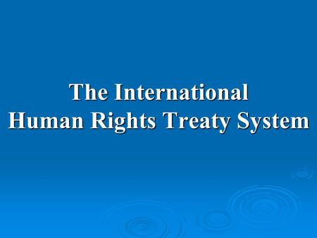 The International Human Rights Treaty System
