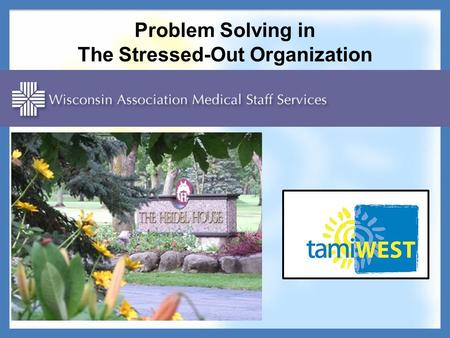 Problem Solving in The Stressed-Out Organization.