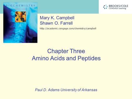Chapter Three Amino Acids and Peptides