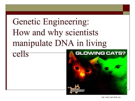 Genetic Engineering: How and why scientists manipulate DNA in living cells http://farm3.static.flickr.com.