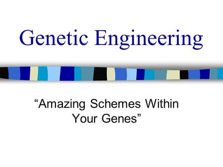“Amazing Schemes Within Your Genes”