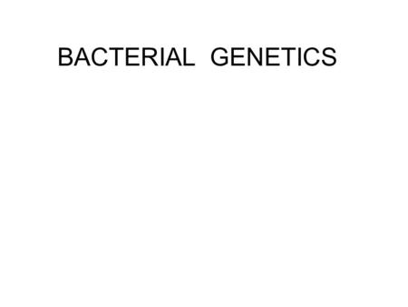BACTERIAL GENETICS. Bacterial variation Motile becomes nonmotile- morphological variation ex. Salmonella Lactose fermentor becomes lactose nonfermentor.