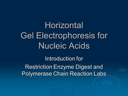 Horizontal Gel Electrophoresis for Nucleic Acids Introduction for Restriction Enzyme Digest and Polymerase Chain Reaction Labs.
