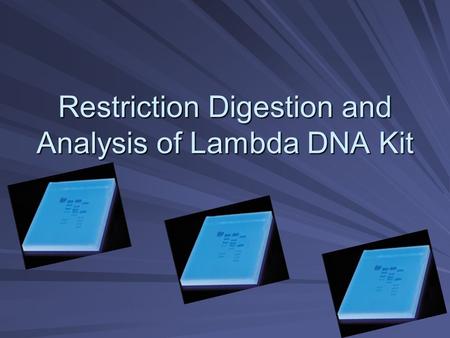 Restriction Digestion and Analysis of Lambda DNA Kit