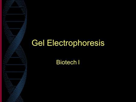 Gel Electrophoresis Biotech I.