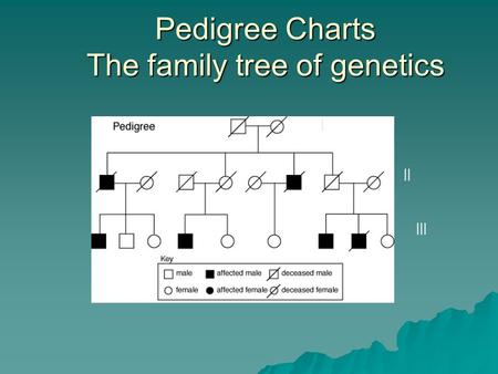 Pedigree Charts The family tree of genetics I II III.
