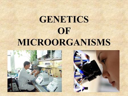 GENETICS OF MICROORGANISMS. QUESTIONS OF LECTURE 1. Introduction 2. Genetics of microorganisms 3. Genotypic and phenotypic variations 4. Transmission.