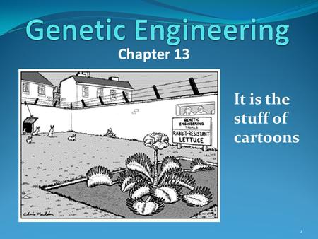 Chapter 13 It is the stuff of cartoons 1. Genetic engineering is the stuff of movies. Can you name a recent movie? 2.
