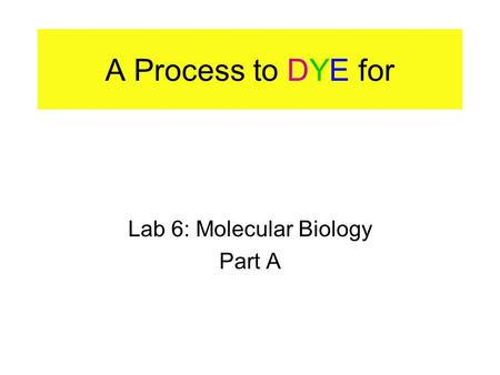 Lab 6: Molecular Biology Part A