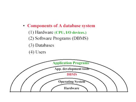 The Role of DBMS in Computing