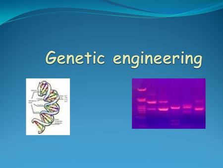 Types of cloning DNA Cloning (Recombinant DNA Technology) Reproductive Cloning (in animals) Cloning in agriculture.