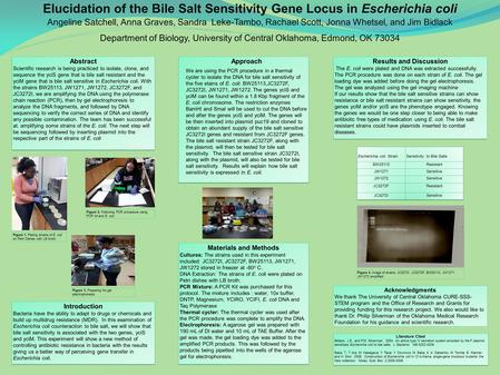 Elucidation of the Bile Salt Sensitivity Gene Locus in Escherichia coli Angeline Satchell, Anna Graves, Sandra Leke-Tambo, Rachael Scott, Jonna Whetsel,
