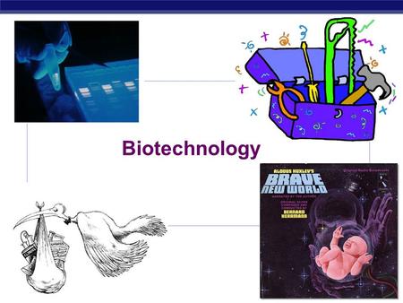 AP Biology 2007-2008 Biotechnology AP Biology A Brave New World.