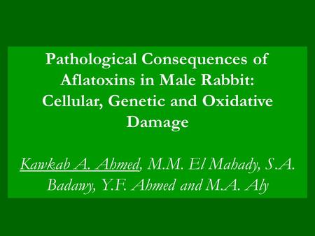 Pathological Consequences of Aflatoxins in Male Rabbit: