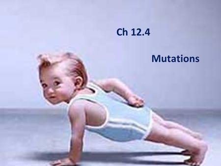 Ch 12.4 Mutations.