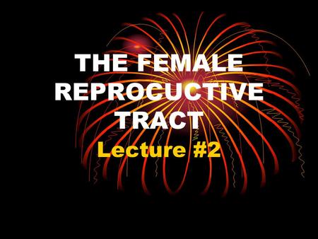 THE FEMALE REPROCUCTIVE TRACT Lecture #2. I. THE GOAL A. To produce a sex cell (egg) to unite with a sperm cell to create a new organism. B. To maintain.