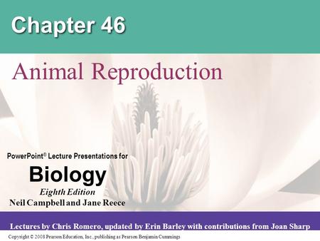 Chapter 46 Animal Reproduction.