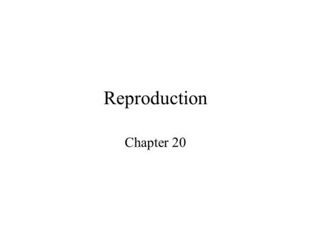 Reproduction Chapter 20 Function Not for homeostasis of the individual –person can survive indefinitely without a reproductive system Continuation of.