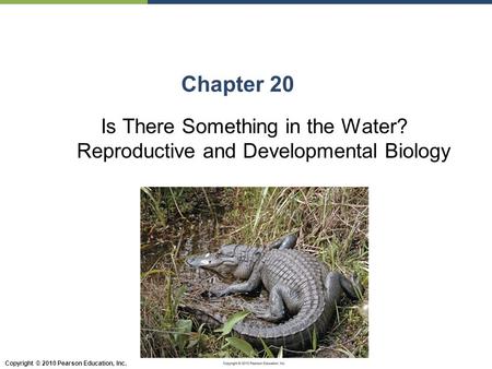 Copyright © 2010 Pearson Education, Inc. Chapter 20 Is There Something in the Water? Reproductive and Developmental Biology.