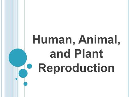 Human, Animal, and Plant Reproduction