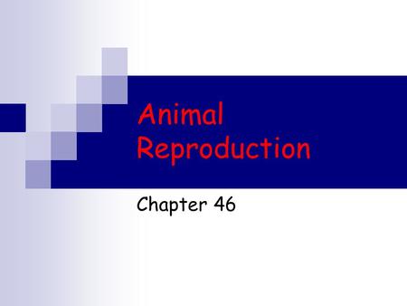 Animal Reproduction Chapter 46. Reproduction in the Animal Kingdom Sexual Asexual  Fission  Budding  Fragmentation & Regeneration  Parthenogenesis.