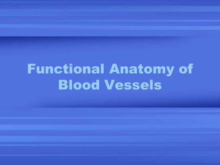 Functional Anatomy of Blood Vessels