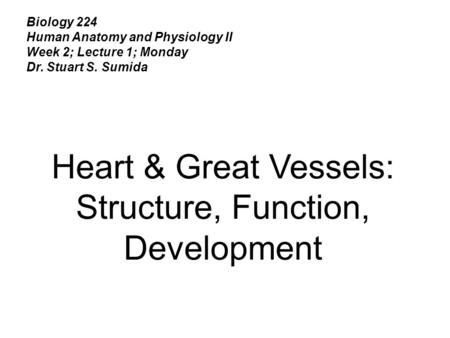 Biology 224 Human Anatomy and Physiology II Week 2; Lecture 1; Monday Dr. Stuart S. Sumida Heart & Great Vessels: Structure, Function, Development.