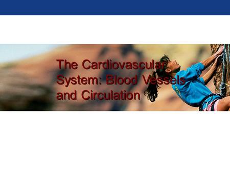 The Cardiovascular System: Blood Vessels and Circulation.