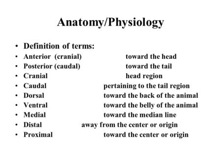 Anatomy/Physiology Definition of terms: Anterior (cranial)toward the head Posterior (caudal)toward the tail Cranialhead region Caudalpertaining to the.