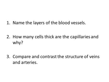 Name the layers of the blood vessels.