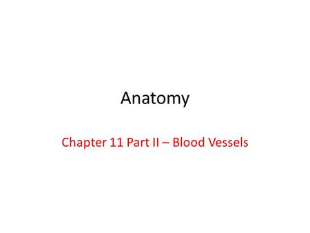 Chapter 11 Part II – Blood Vessels
