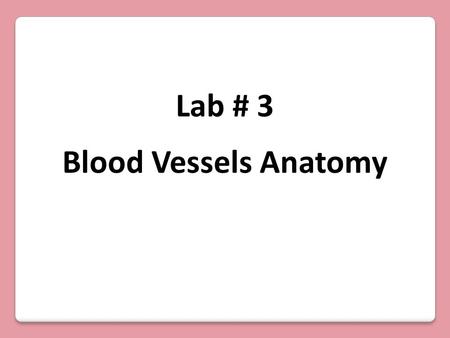 Lab # 3 Blood Vessels Anatomy.