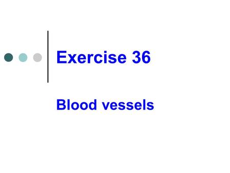 Exercise 36 Blood vessels.
