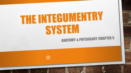THE INTEGUMENTRY SYSTEM ANATOMY & PHYSIOLOGY CHAPTER 5.