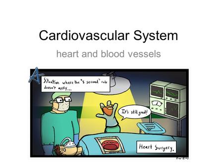 Cardiovascular System heart and blood vessels. Systemic Circulation – delivers blood to all body cells and carries away waste Pulmonary Circulation –