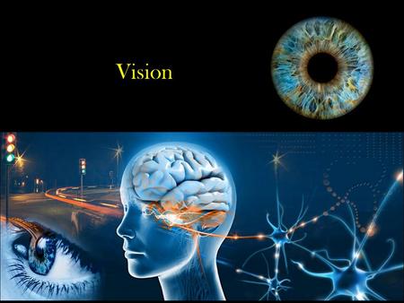 Vision. Light is electromagnetic energy. One nm = one billionth of a meter The Visible Spectrum.